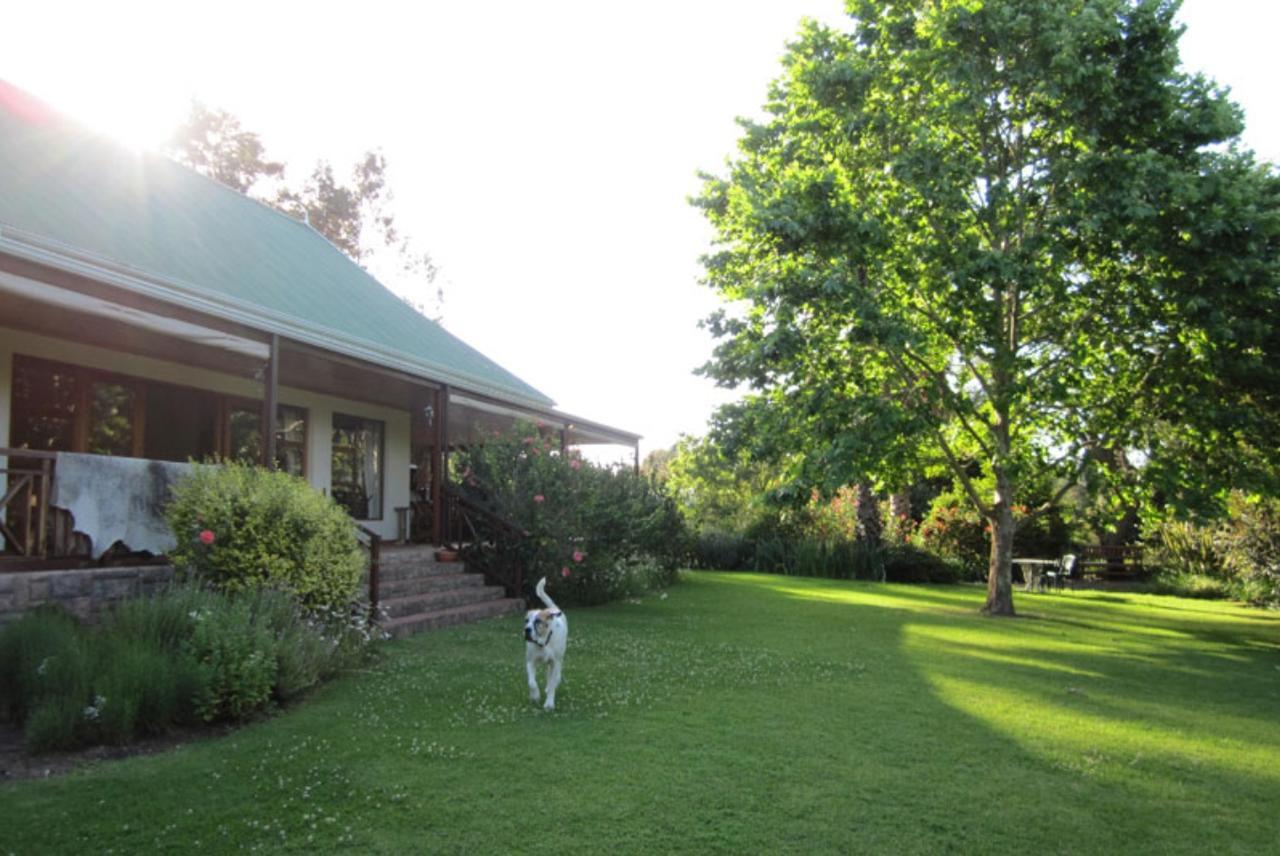 Forest Glen Bed and Breakfast Knysna Zewnętrze zdjęcie